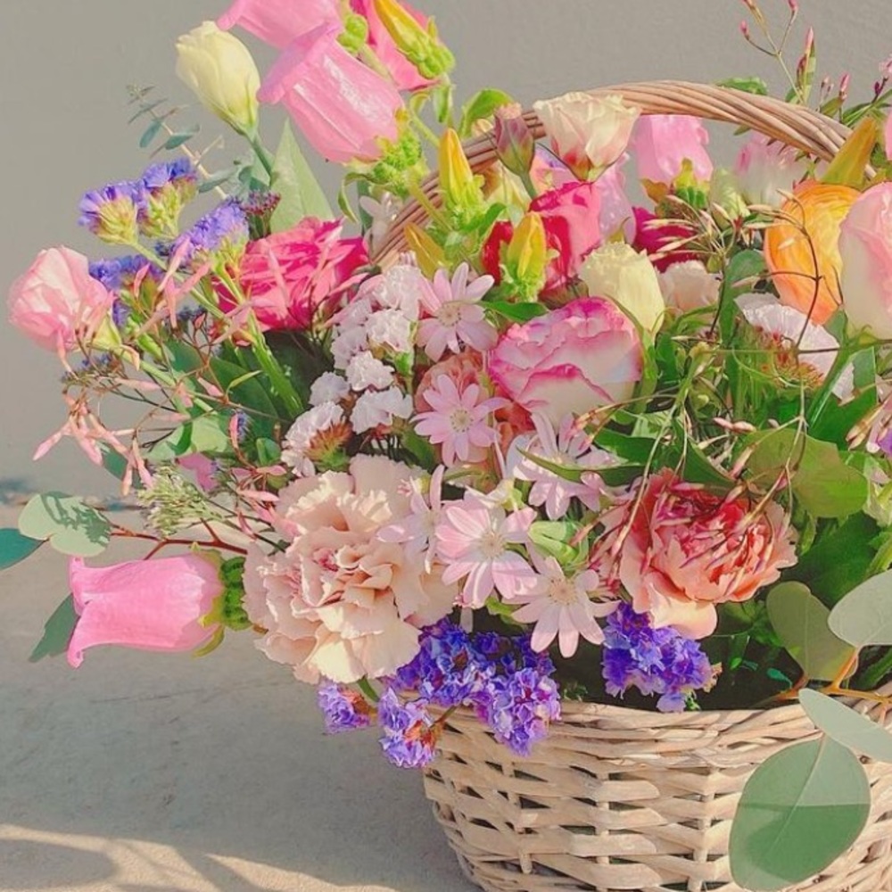 Meet your Posher, Grace